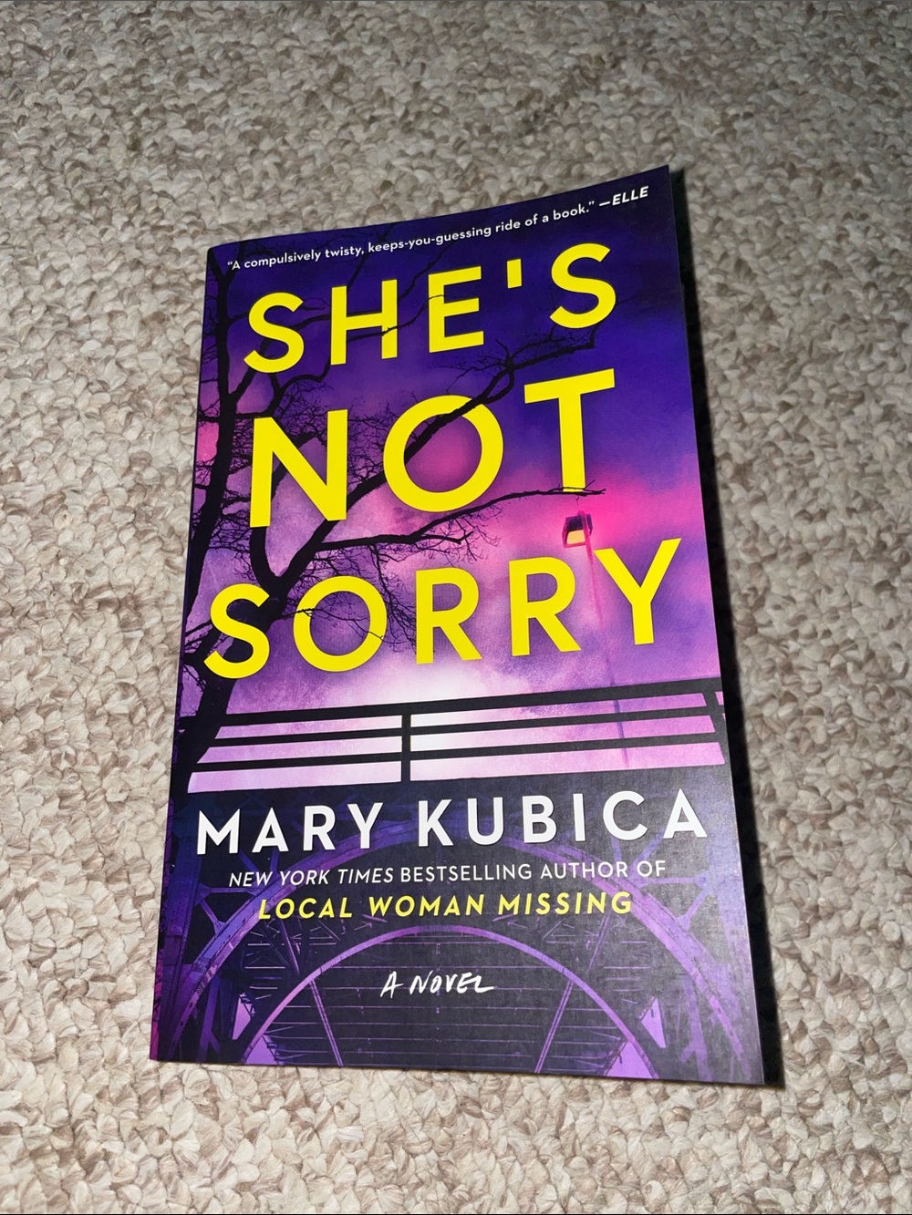 She’s Not Sorry by Mary Kubica